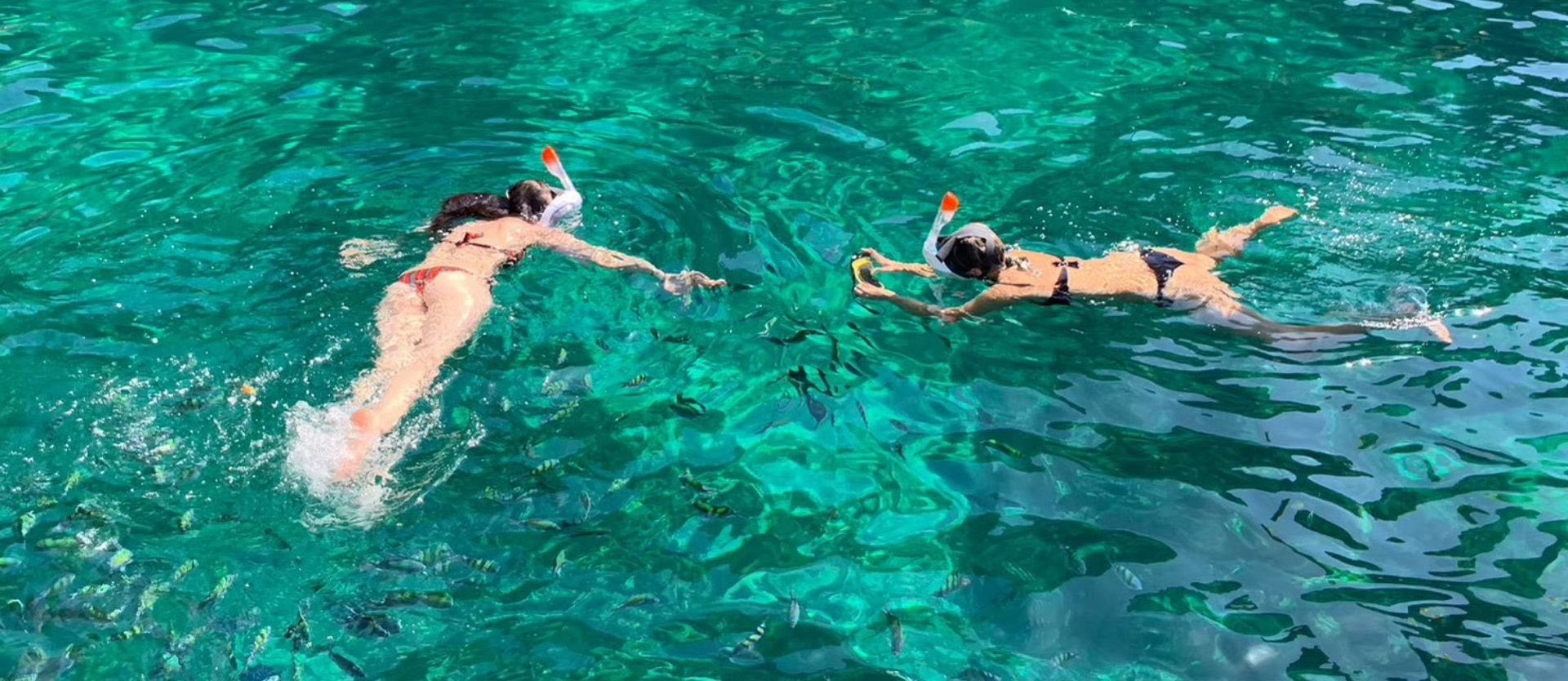 Phi Phi, Maya Bay & Bamboo islandswith Krabi Mook Andaman