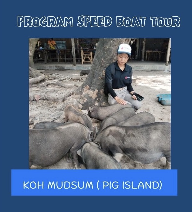 Private Half Day in Tan, Madsum & Rap Island by Speed boat