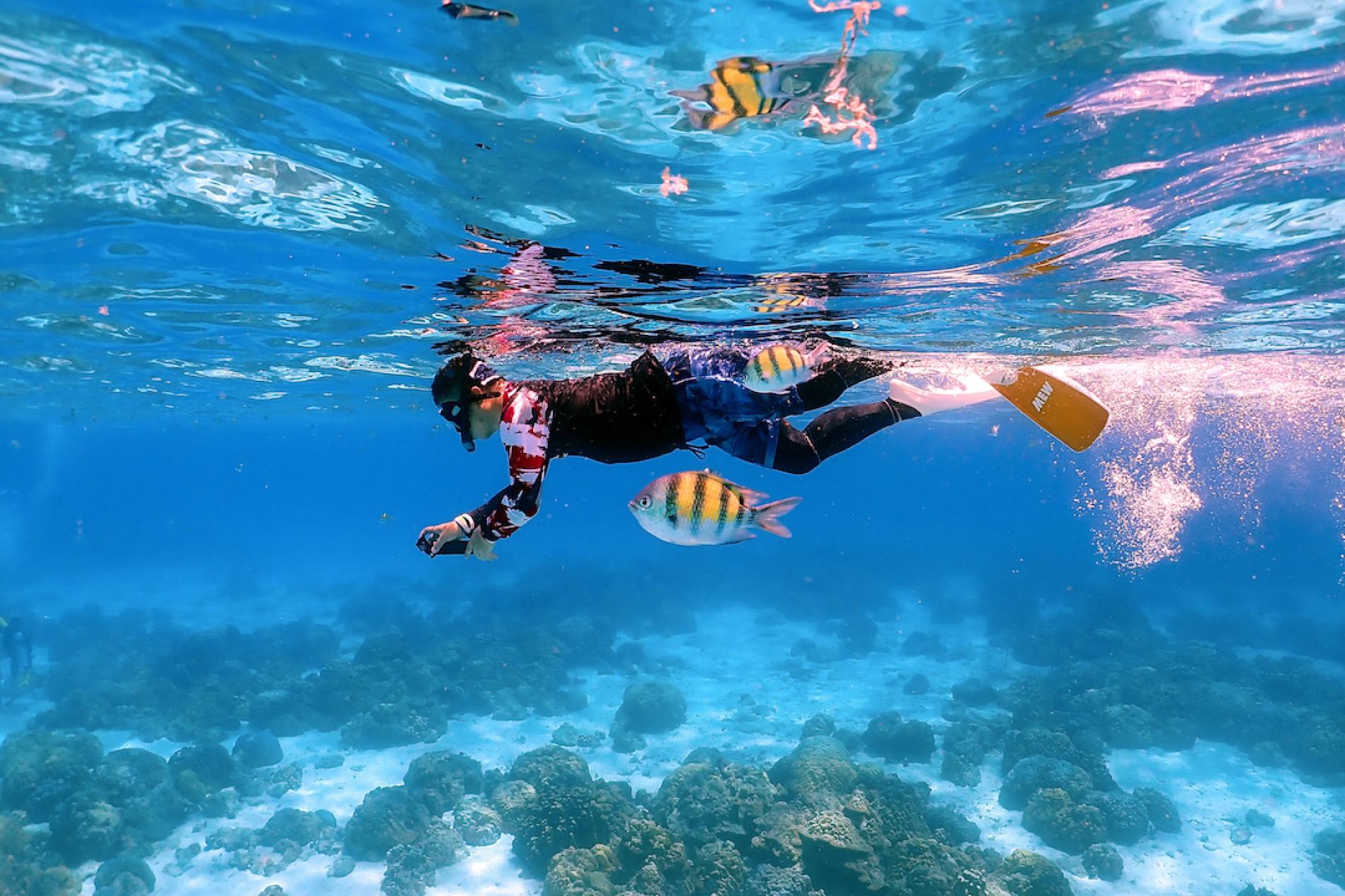 Raya Yai, maiton & Coral island Premium speedboat tour 
