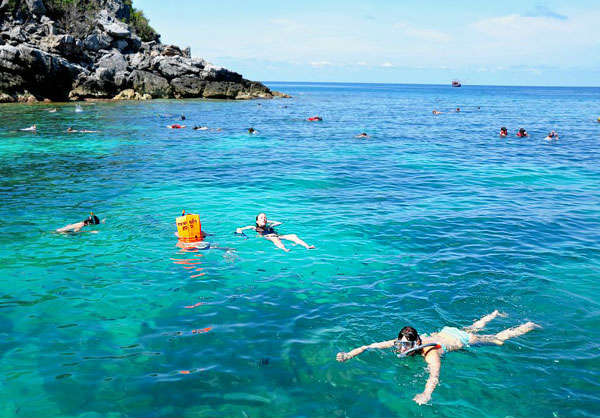 Black Coral Tour Snorkeling Daytrip Koh Phangan