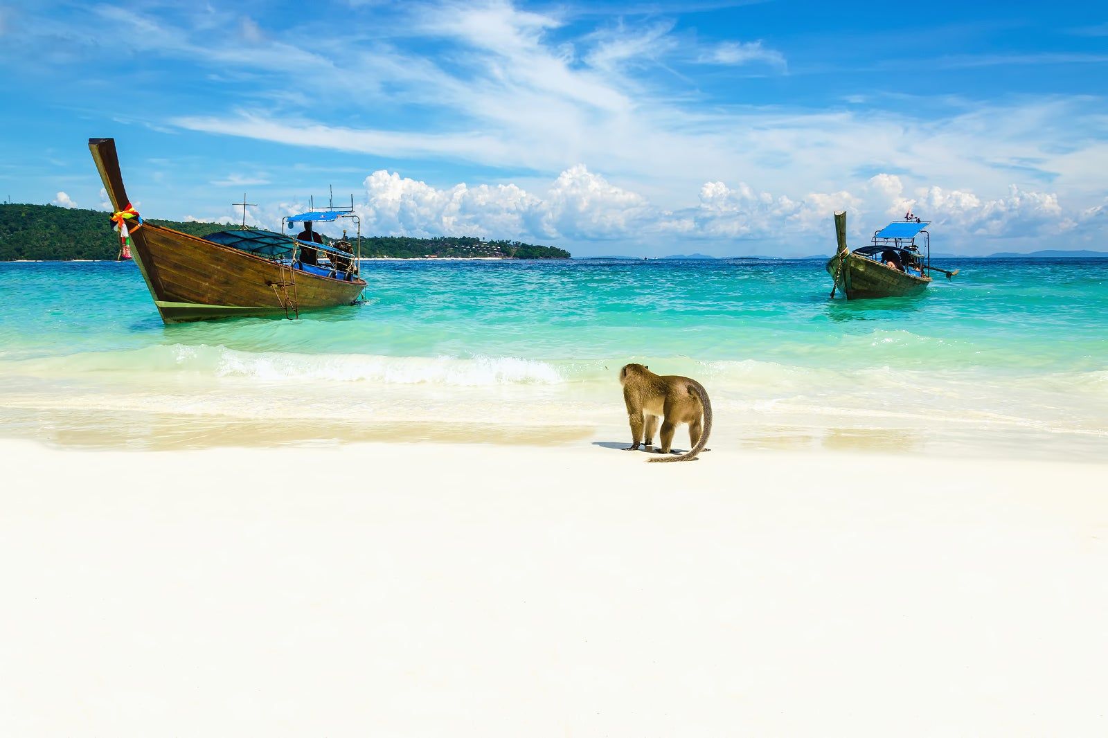 Private Phi Phi Authentic Long Tail Boat Snorkeling Tour