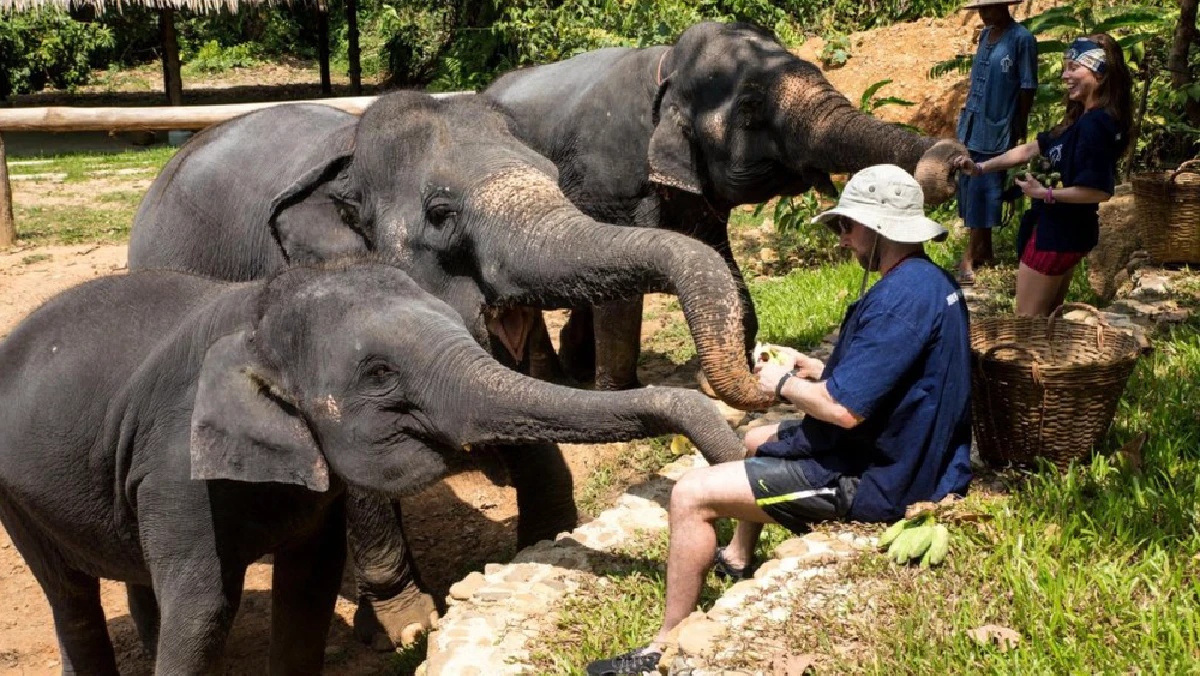 Full-Day Trip to Phang Nga Temple & Nature Places