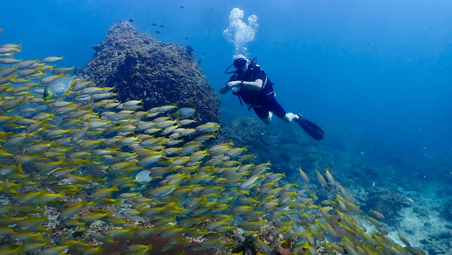 PADI Scuba Diving Courses in Krabi by The Dive Ao Nang