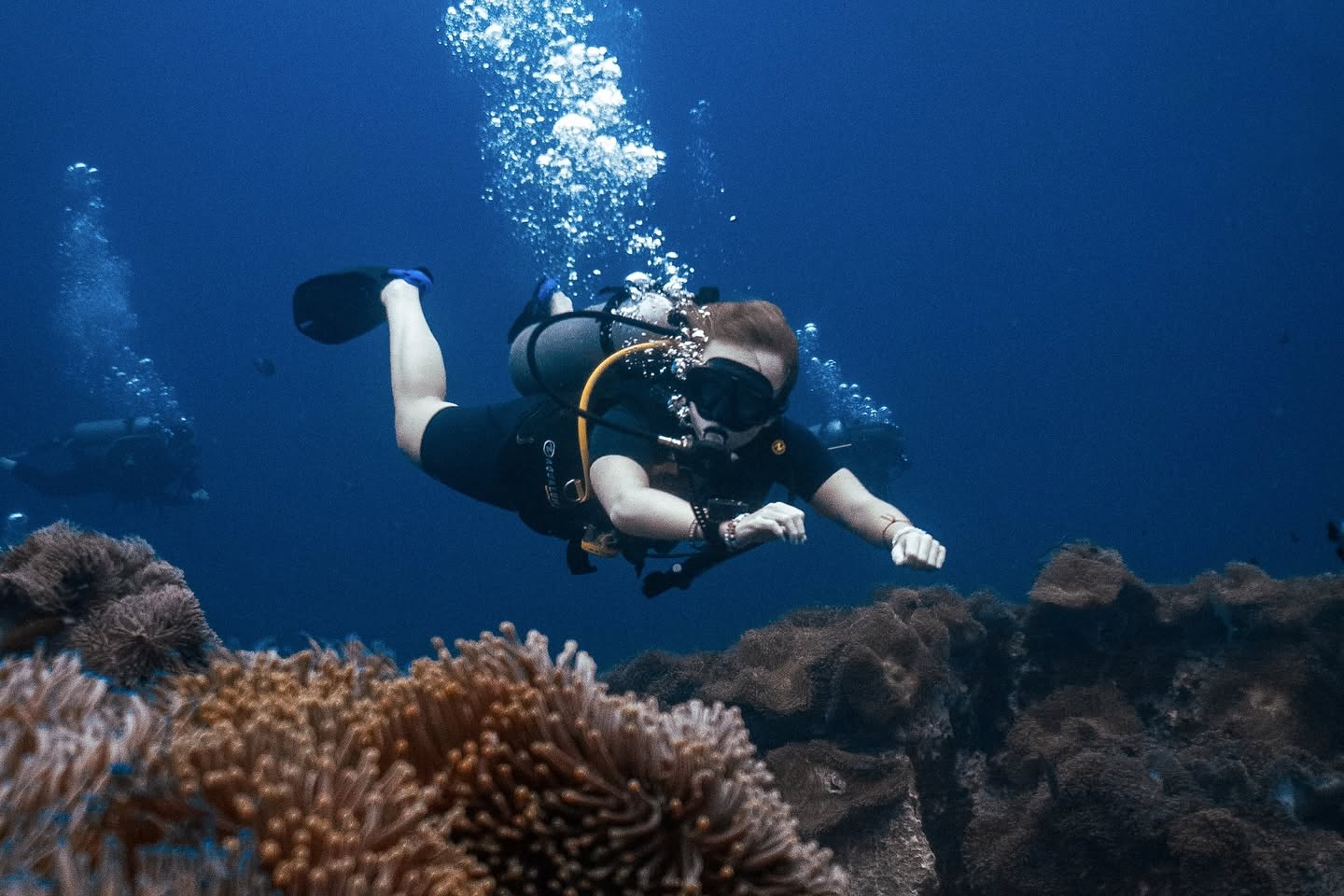 SSI Scuba Diving Courses with Roctopus Dive Koh Tao