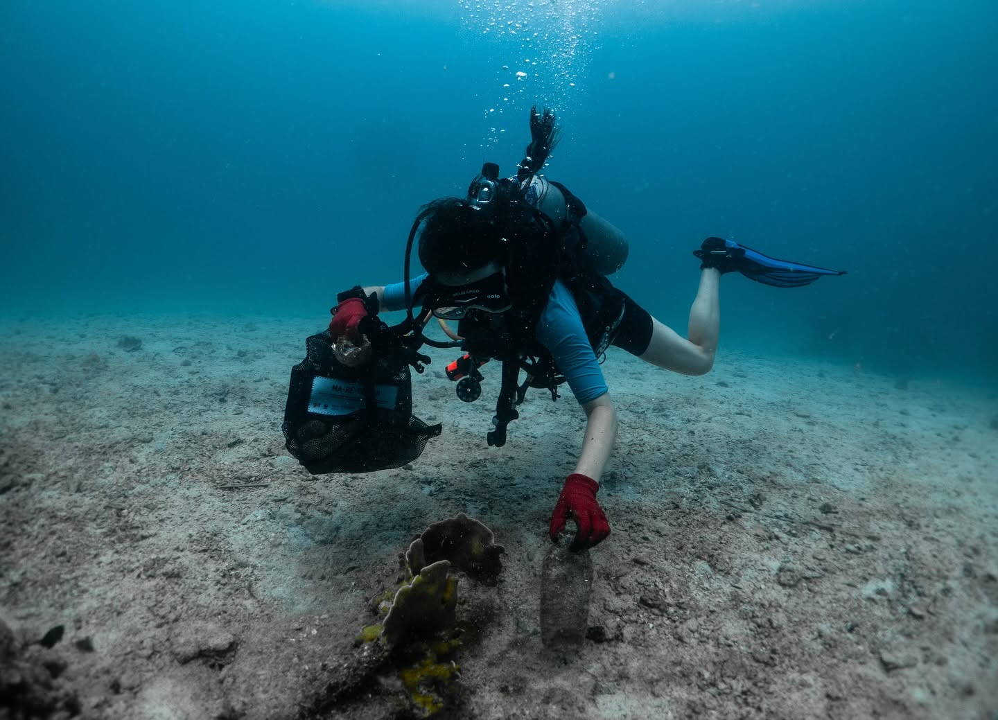 SSI Scuba Diving Courses with Roctopus Dive Koh Tao