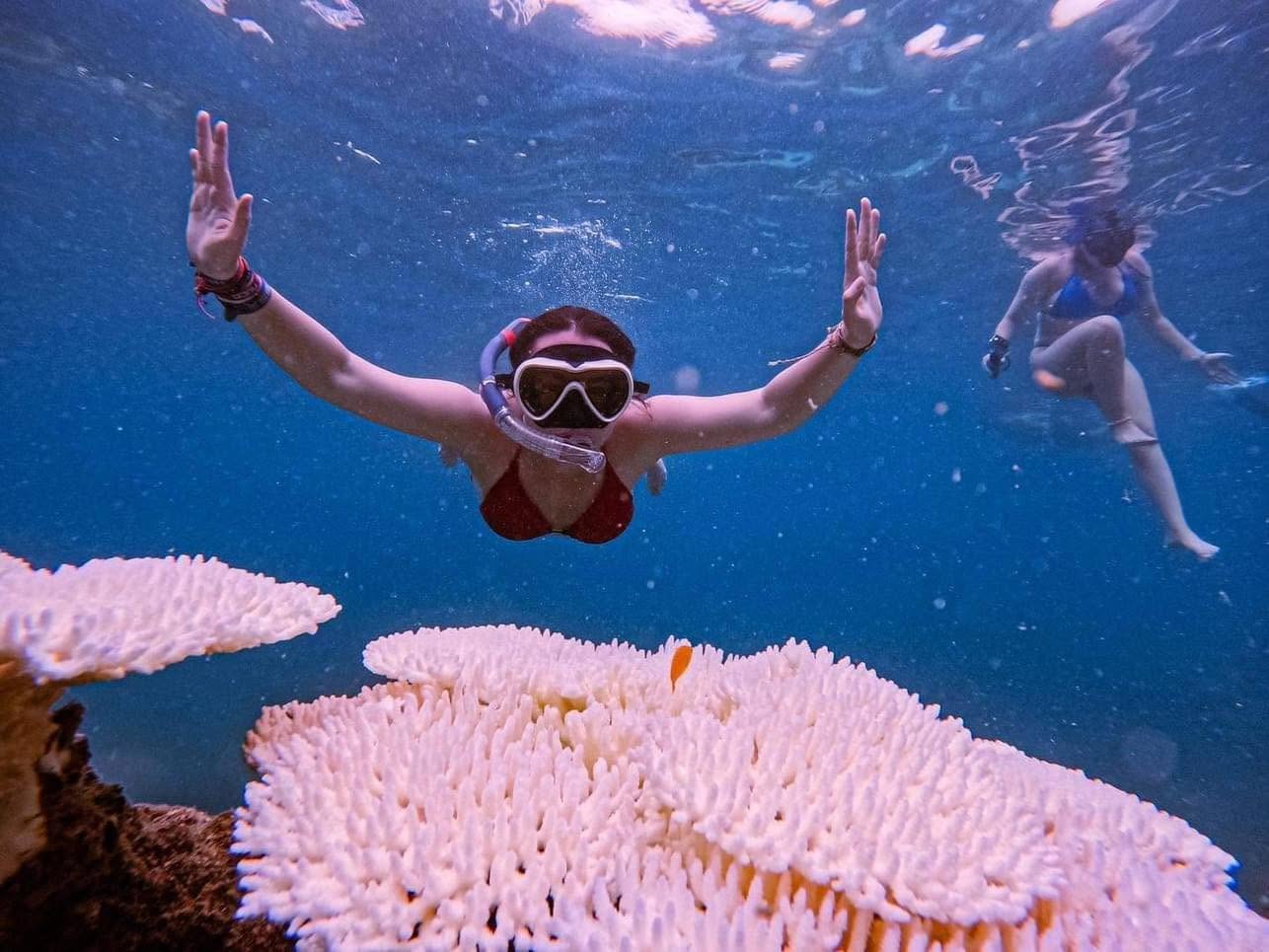 Koh Tao Exploring, Snorkeling and Swimming tour Fullday