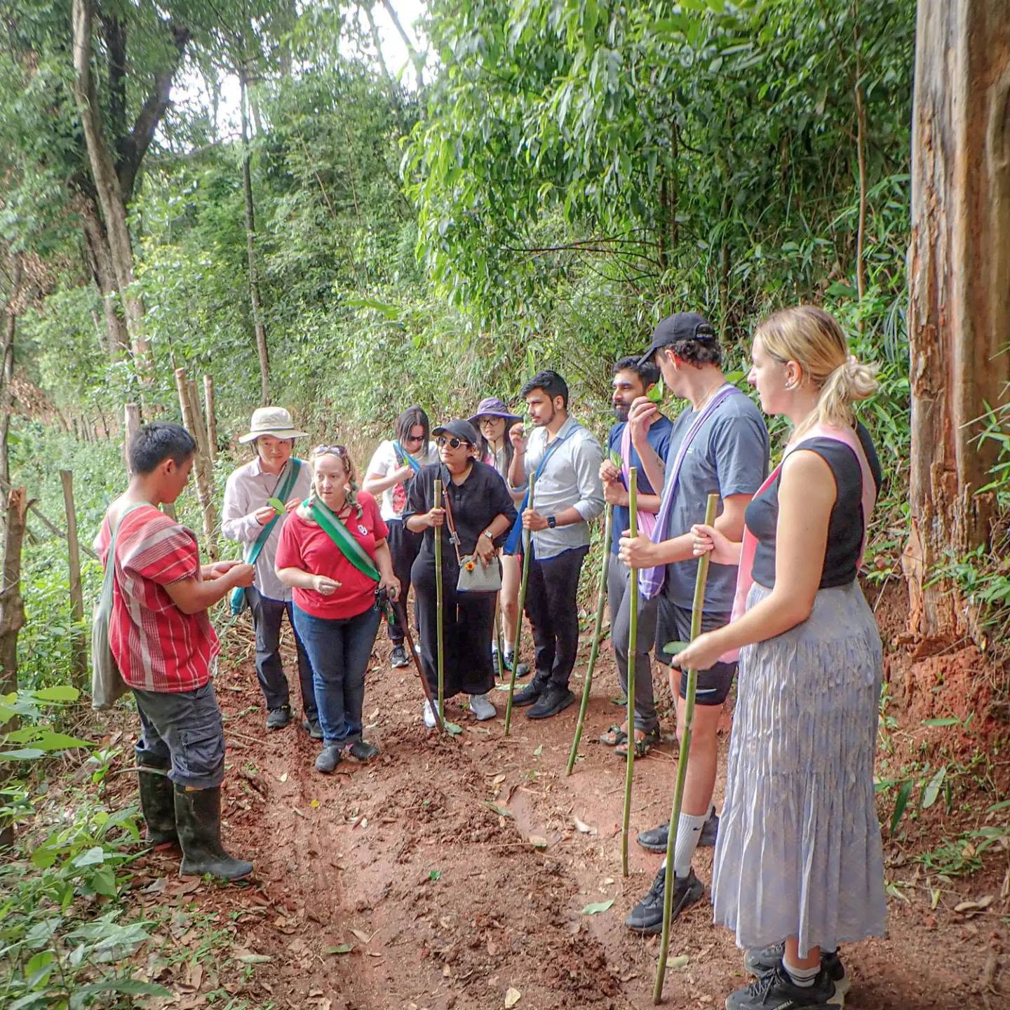 Jungle Trek, Roast & Brew Authentic Karen Coffee Farm Adventure in Chiang Mai