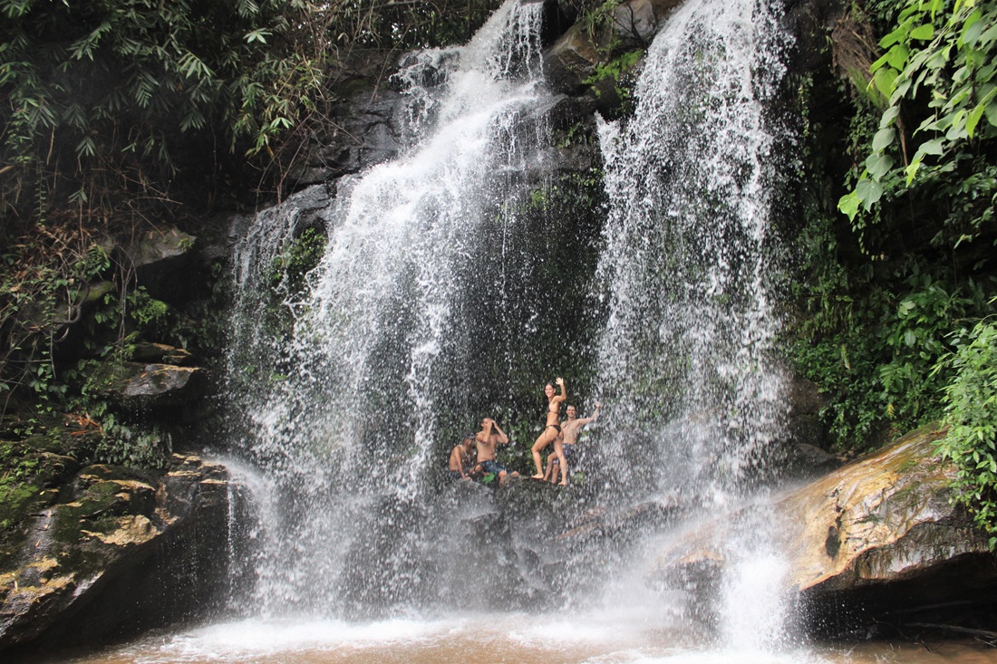 Chiang Mai Elephant Observation, Waterfall Trek & Bamboo Rafting Adventure