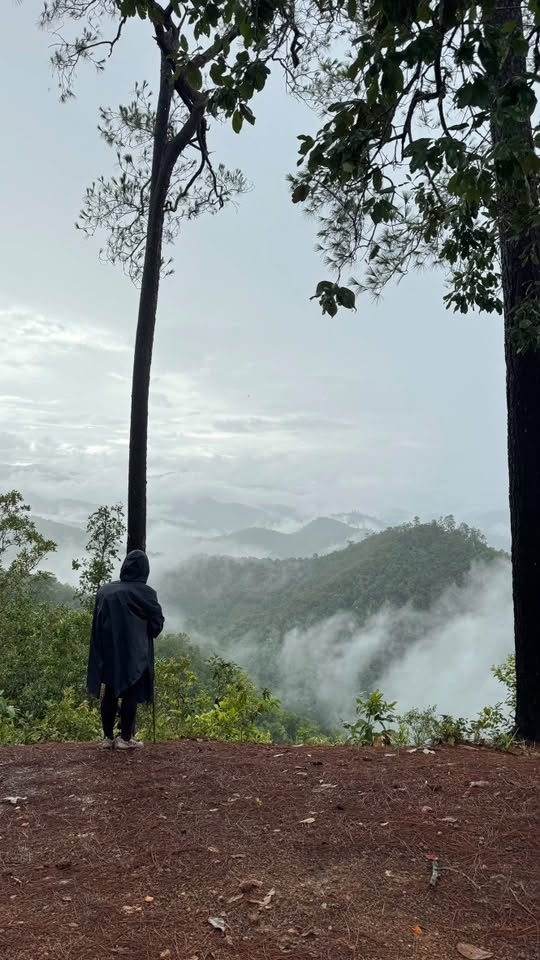 Amazing Trekking Tour In Chiang Mai