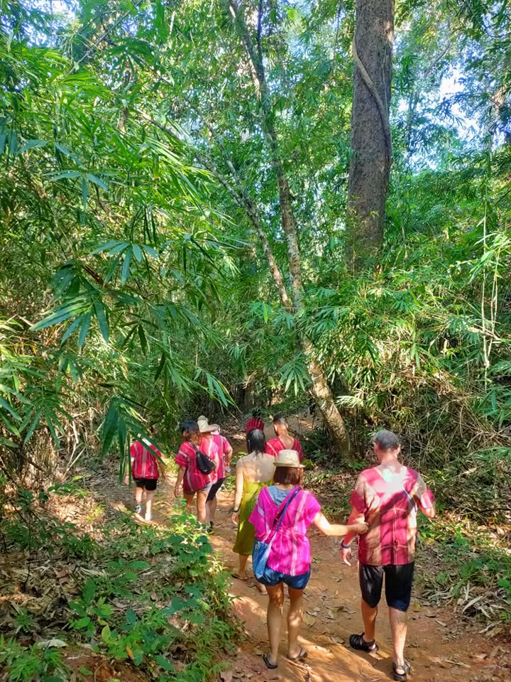 Trekking Explorer Chiang Mai