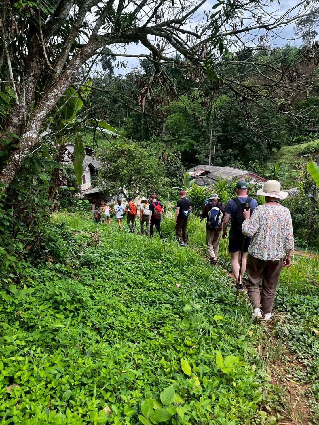 Bamboo Tours Chiang Rai Sightseeing Tour
