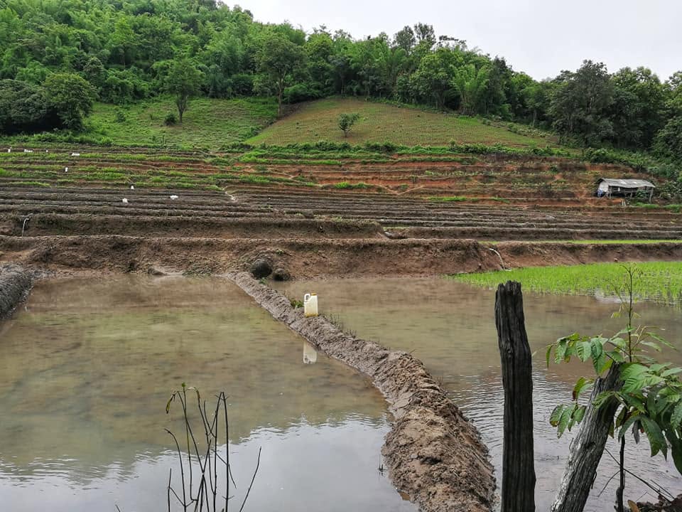 Chiang Rai Jungle Survival Tour 1 Day Jungle Survival Experience