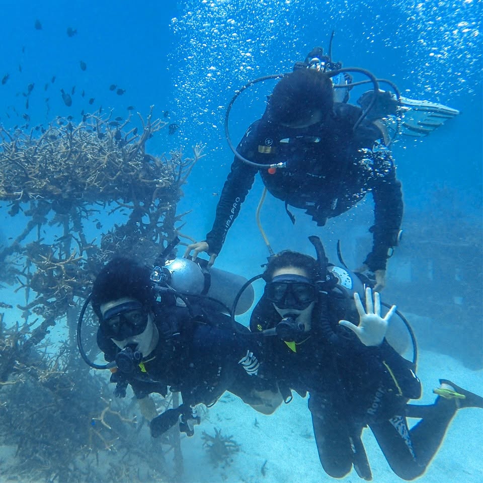 Koh Tao PADI Diving Courses and Fun Dives by Coral Grand Divers
