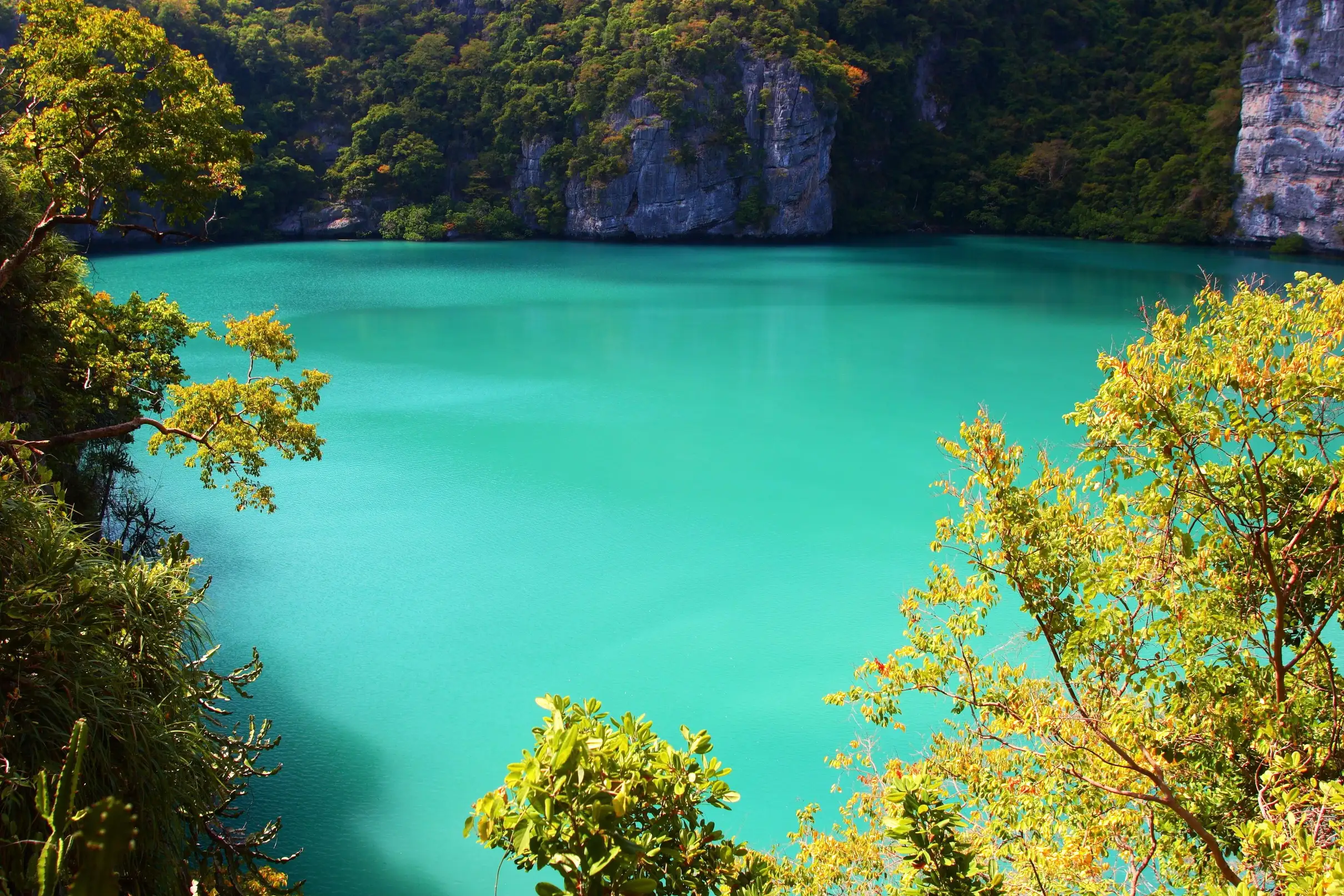 Ang Thong National Marine Park Speedboat Tour from Koh Samui