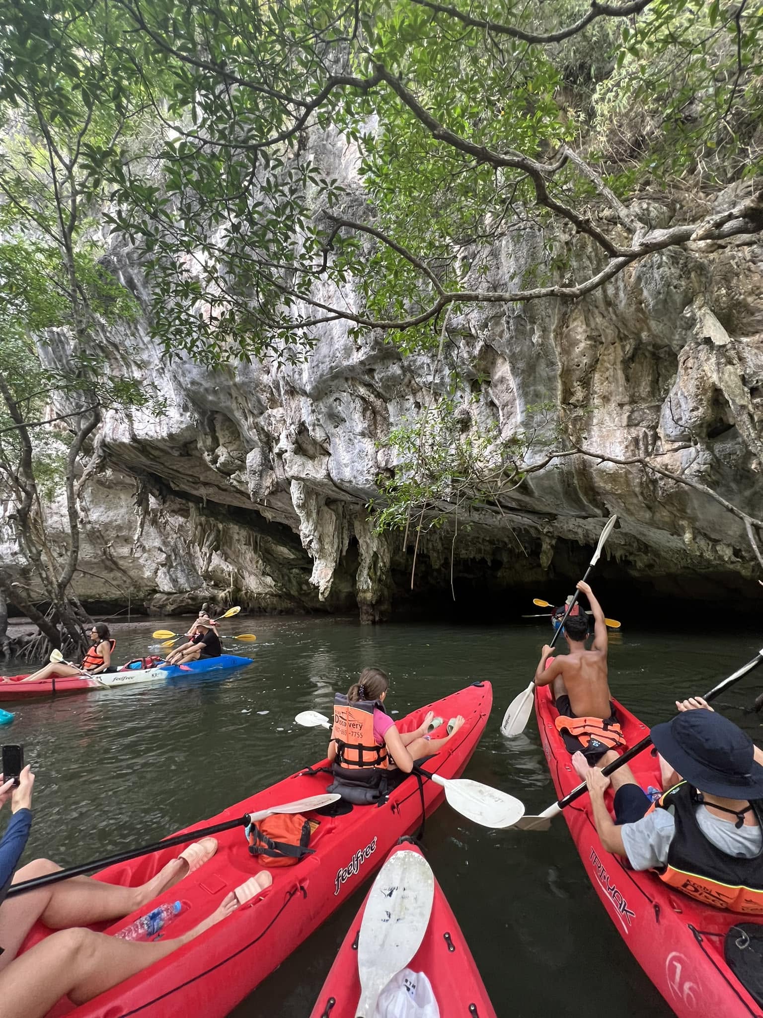 Krabi Discovery Kayak Tour Ao Thalane Mangrove Adventure