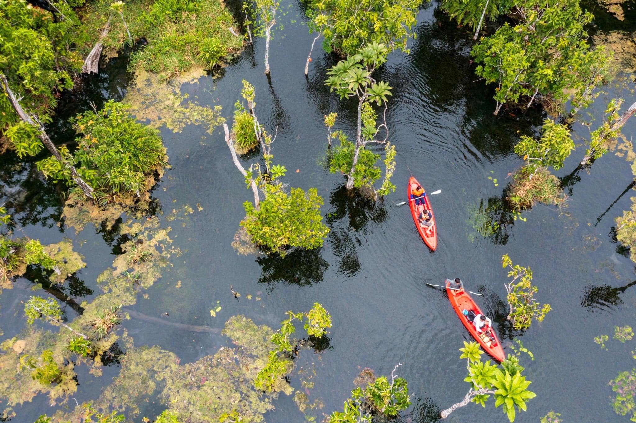 Krabi Thana Kayaking: Klong Nam Sai Crystal Lagoon Adventure