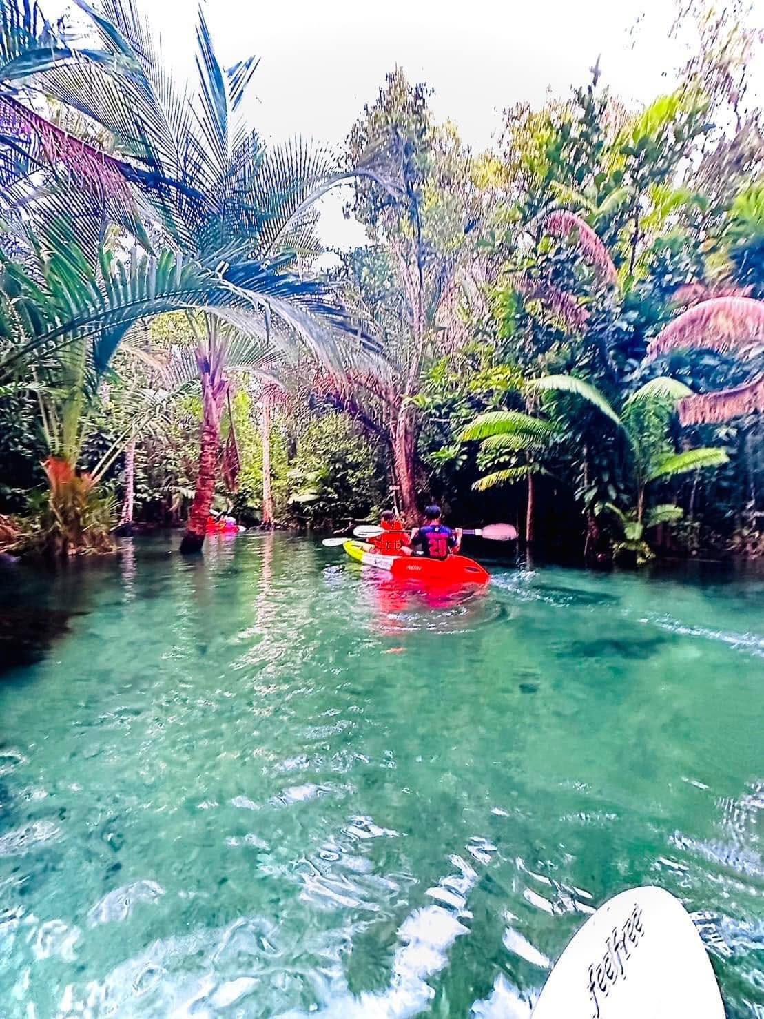 Krabi Thana Kayaking: Klong Nam Sai Crystal Lagoon Adventure
