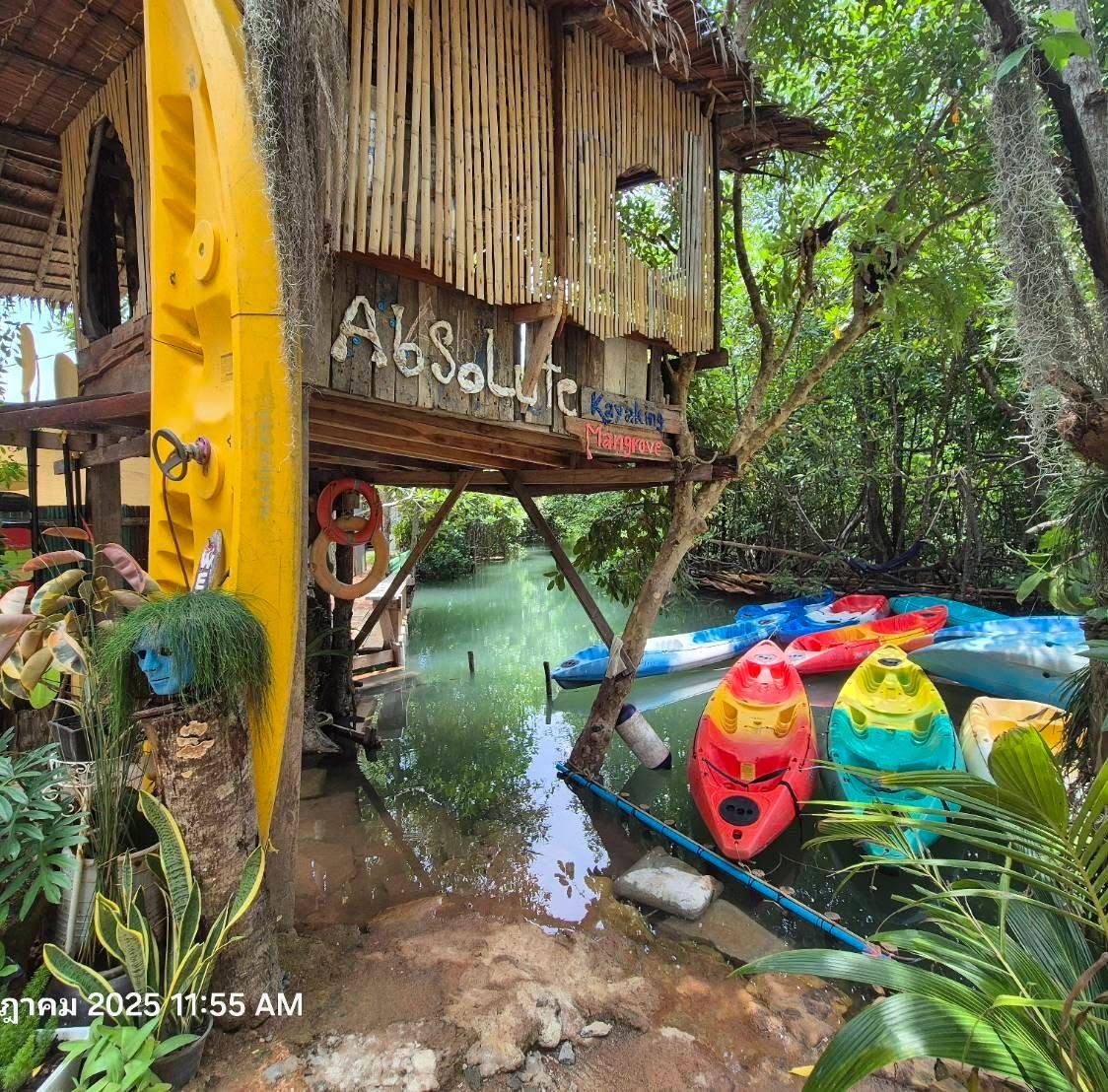 Absolute Kayaking Mangrove Krabi Hidden Mangrove & Limestone Canyon Adventure