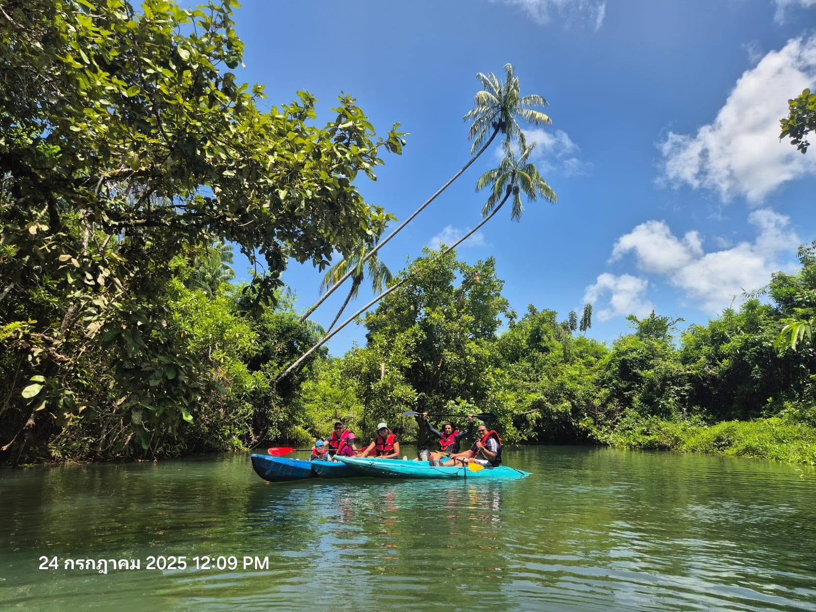 Absolute Kayaking Mangrove Krabi Hidden Mangrove & Limestone Canyon Adventure