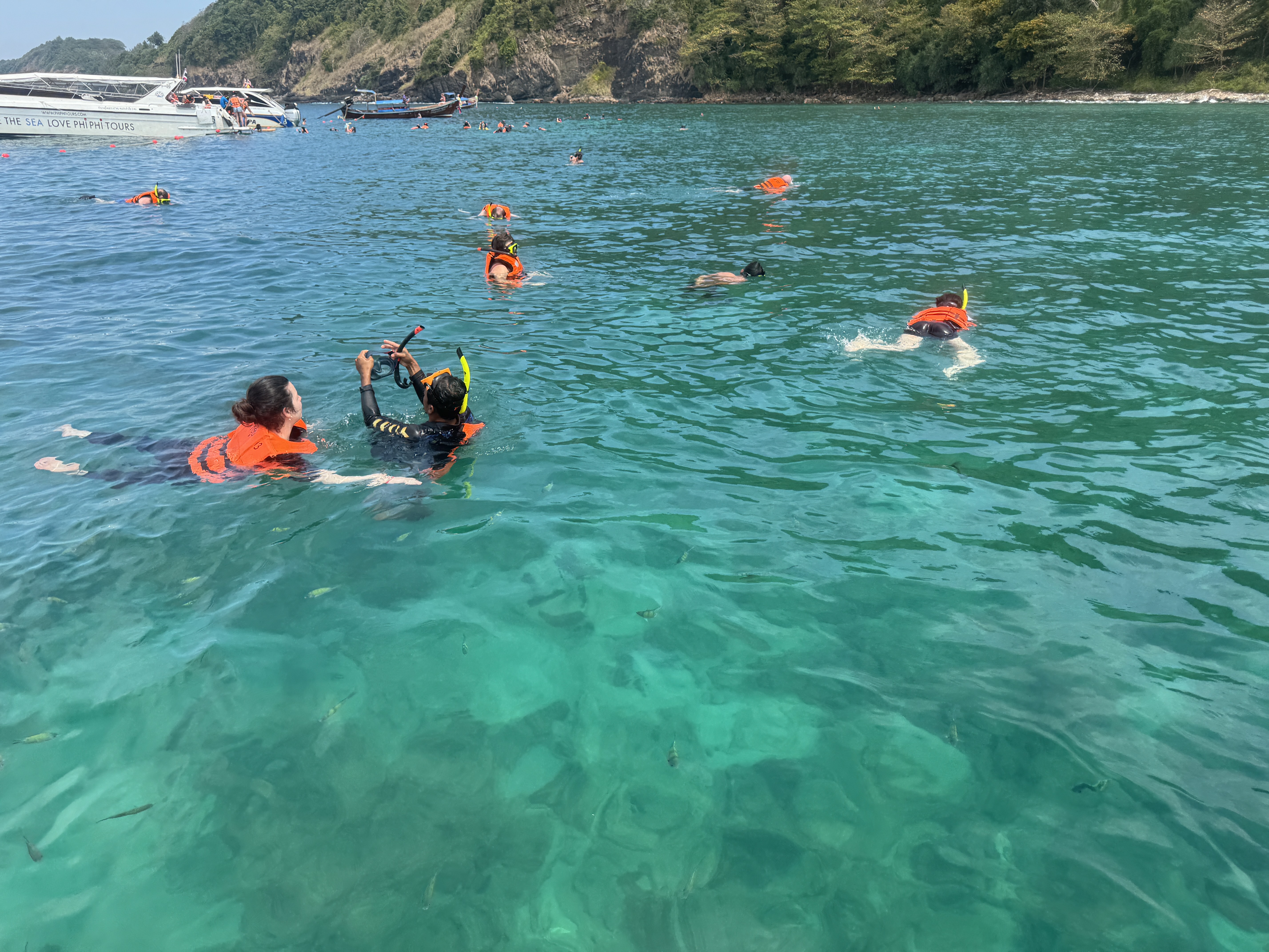 Phi Phi and Bamboo islands by speed boat 