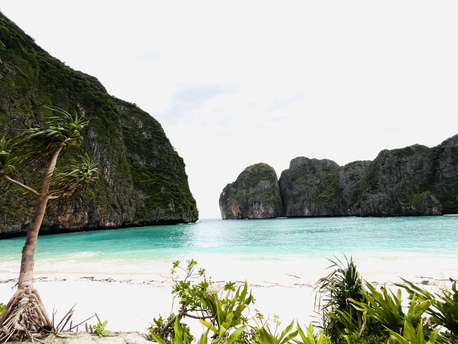 ️Luxury Private Speedboat Day Trip-Pornphinyo Marine