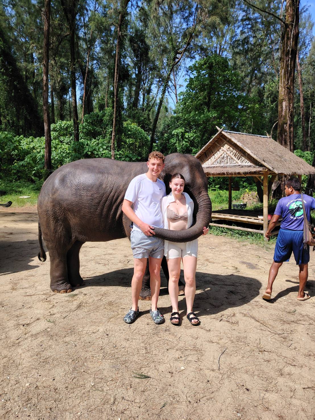 Elephant sanctuary