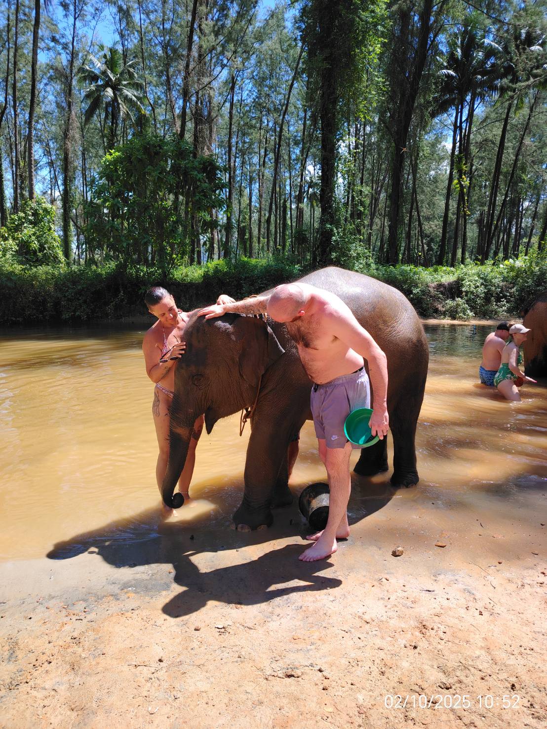 Elephant sanctuary
