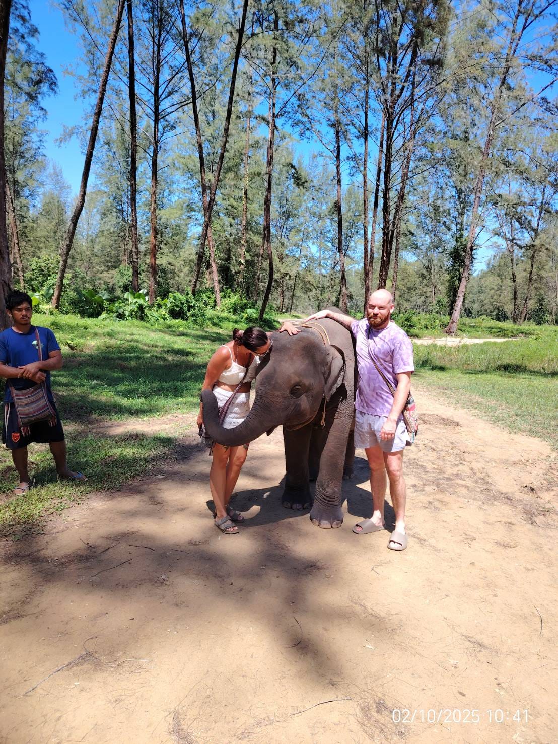 Elephant sanctuary