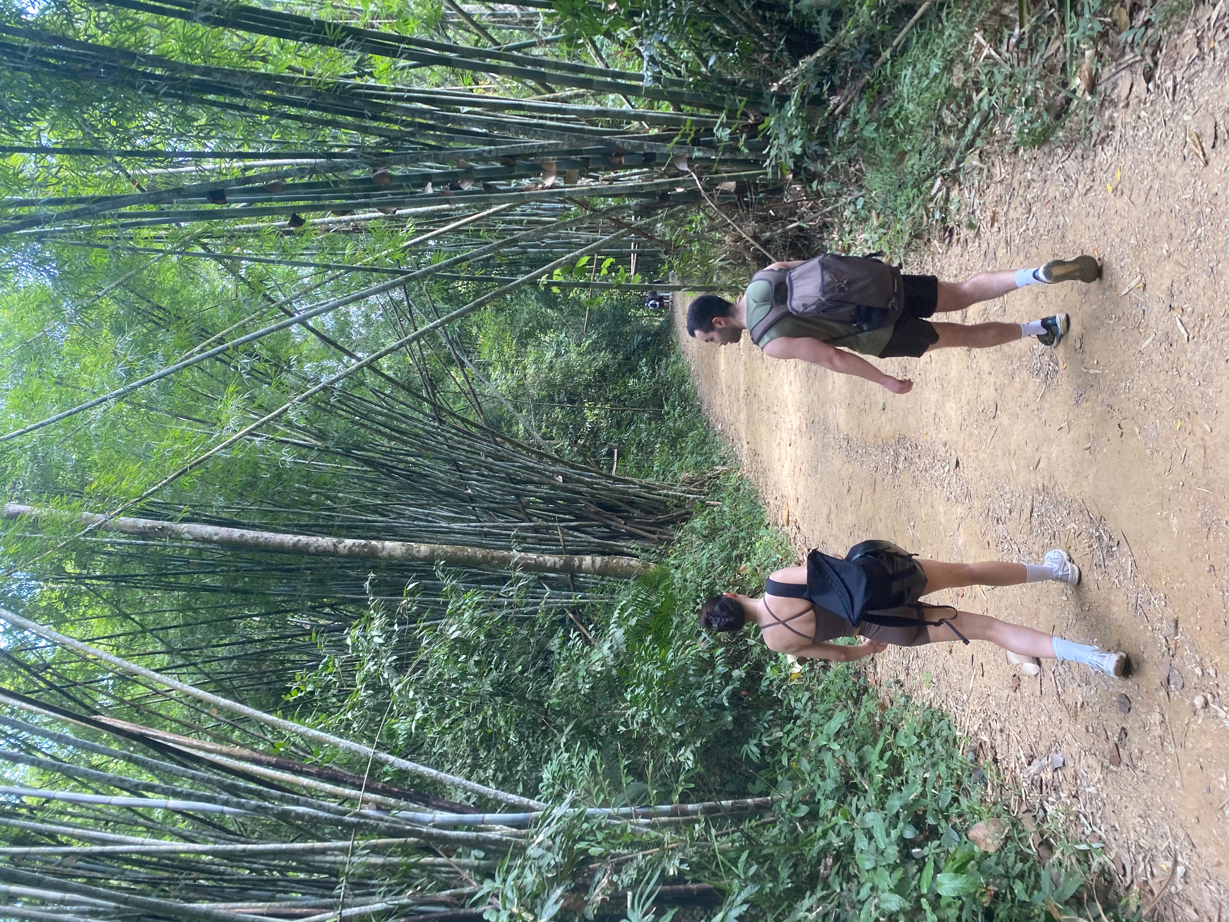 Khaosok Jungle walk day trip 