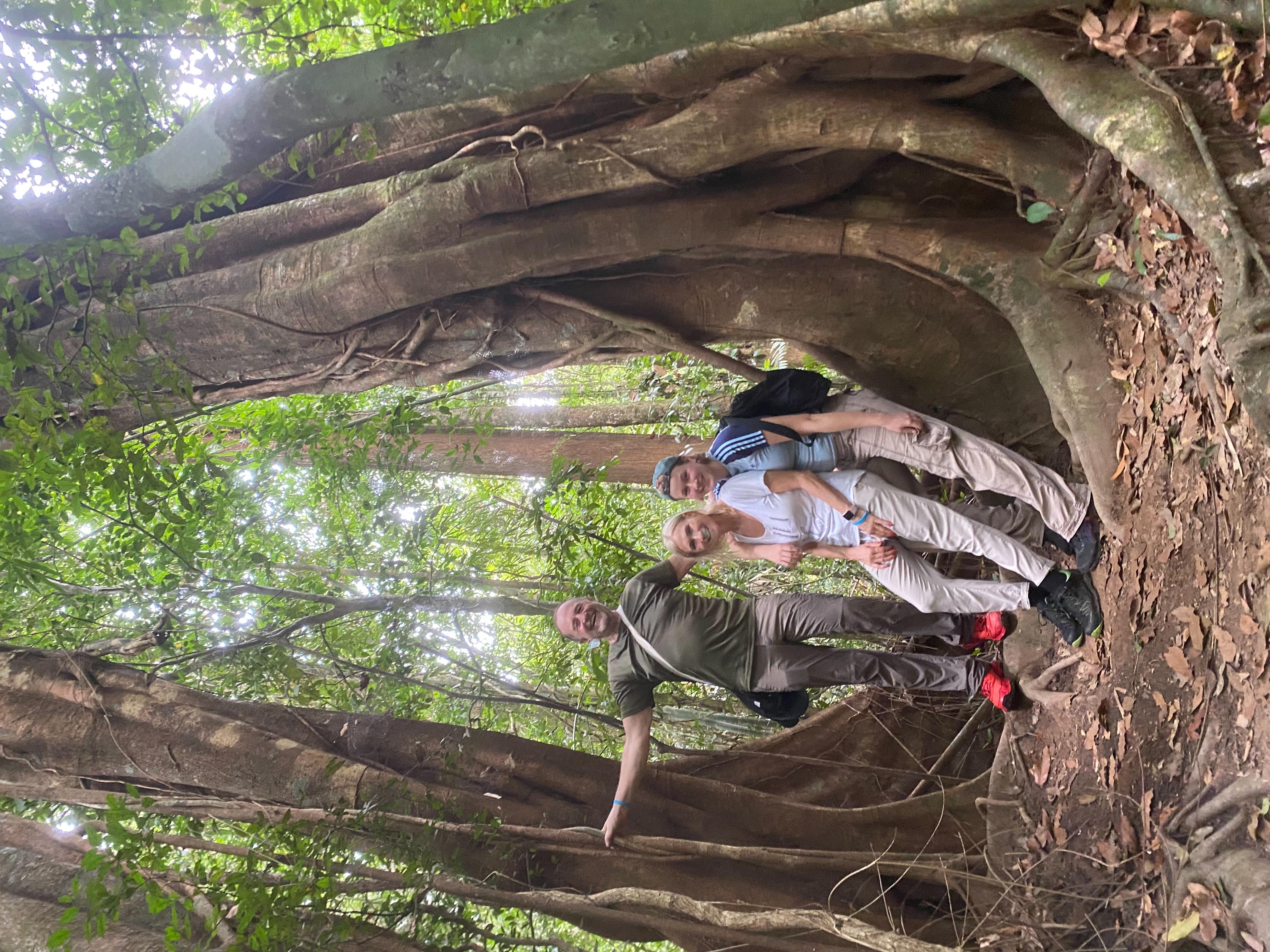 Khaosok Jungle walk day trip 