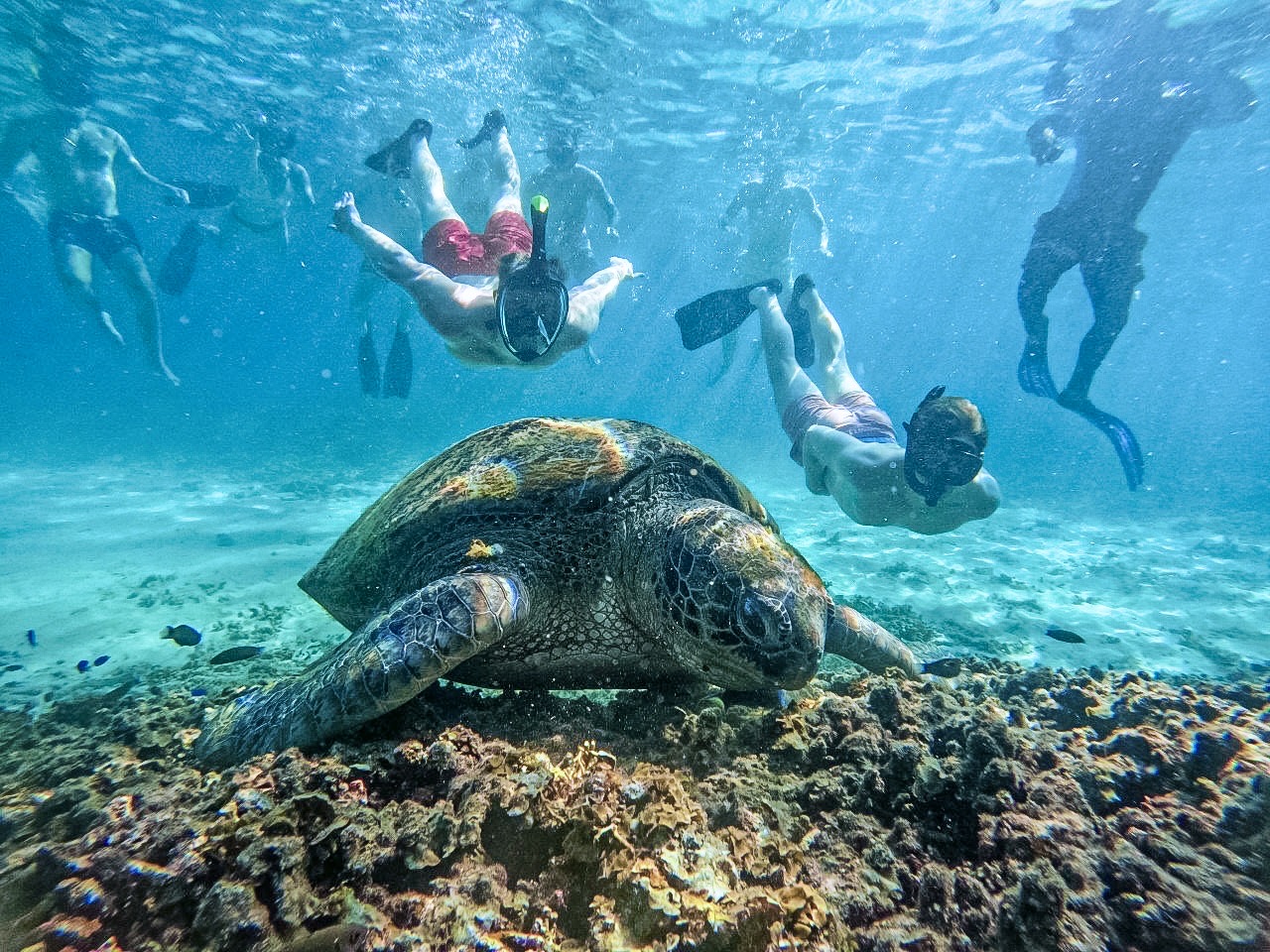 Koh Tao: Koh Nangyuan and Hidden Bays Snorkeling with Lunch