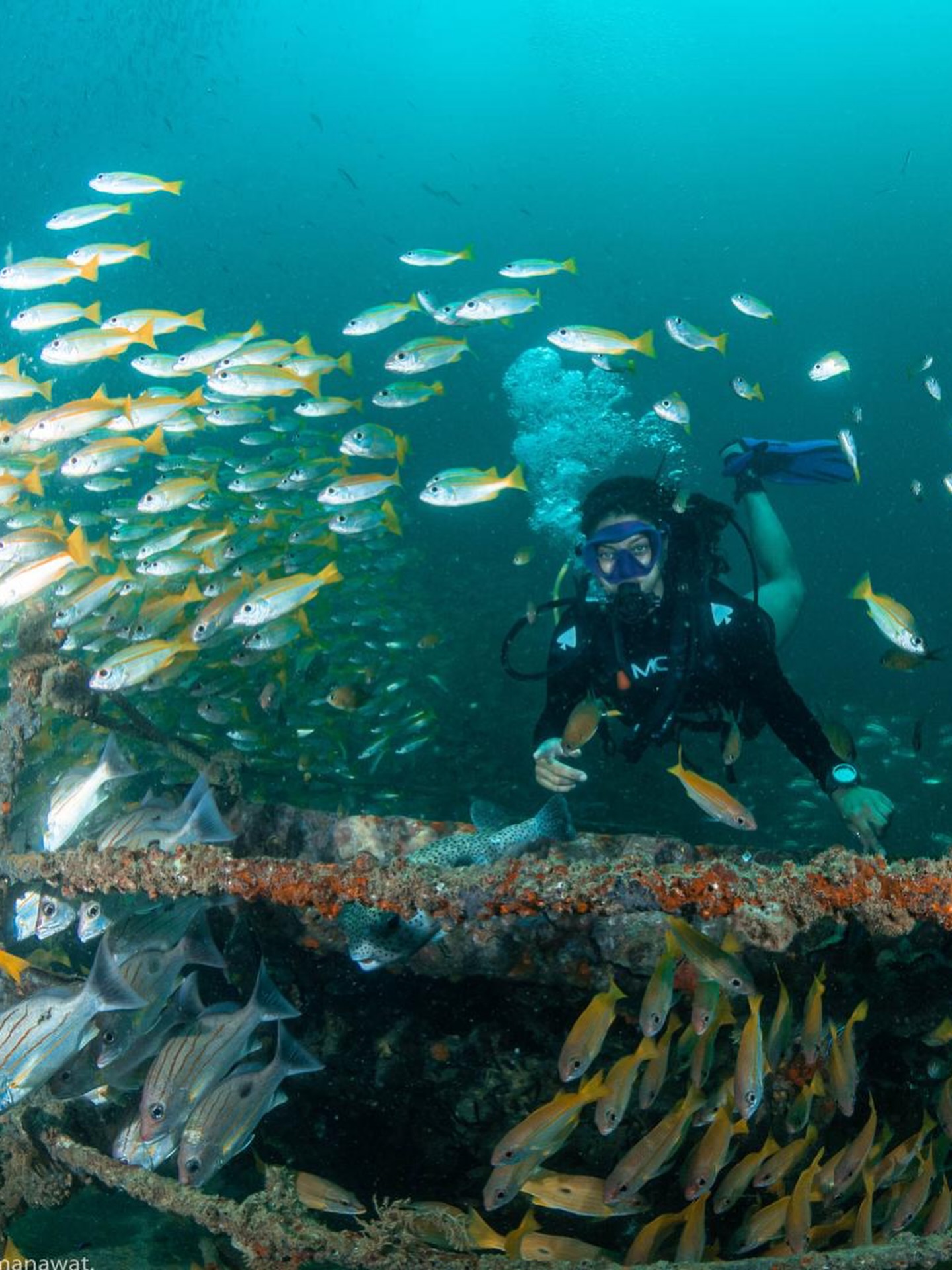 PADI Discover Scuba Diving by PKT diving