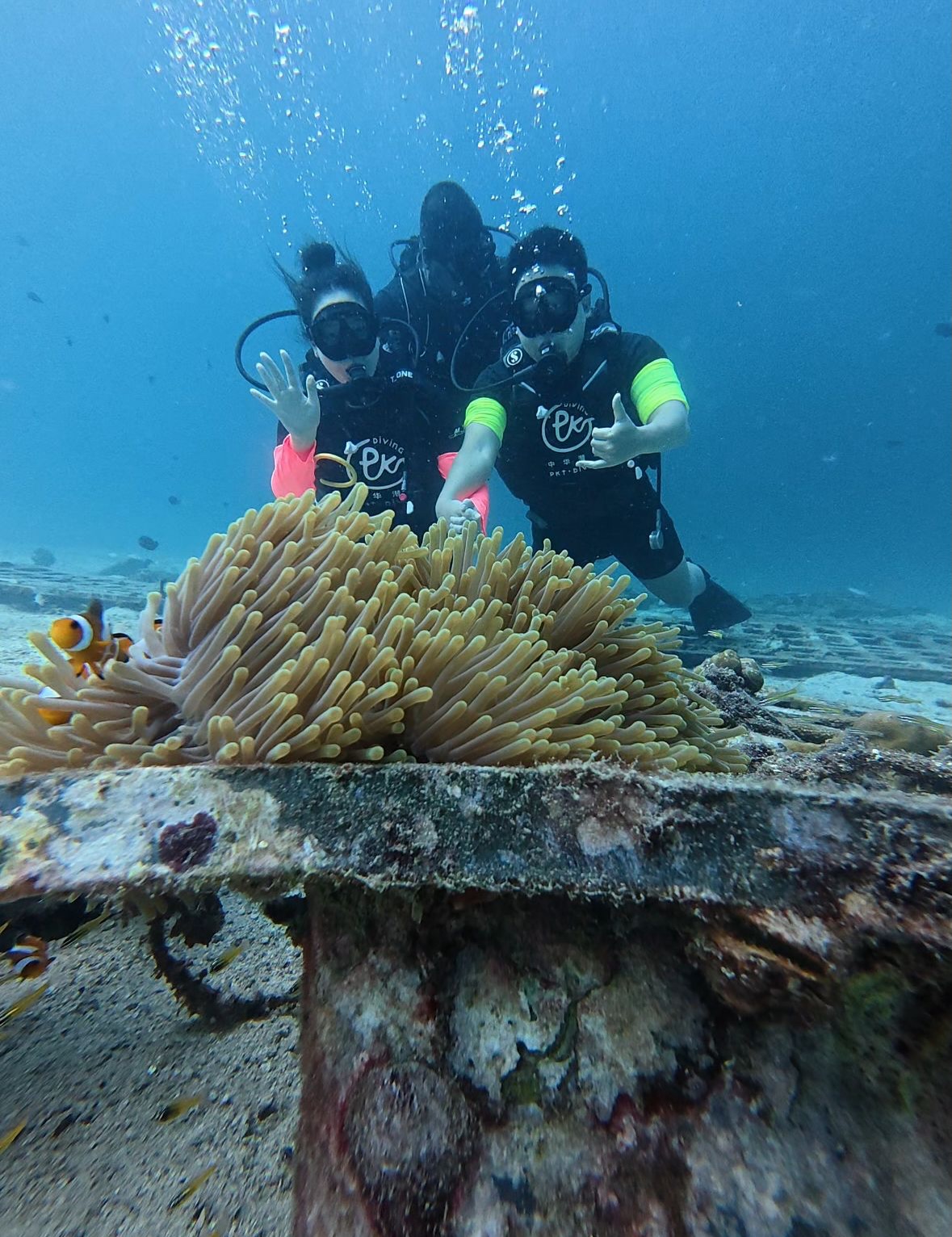 PADI Discover Scuba Diving by PKT diving