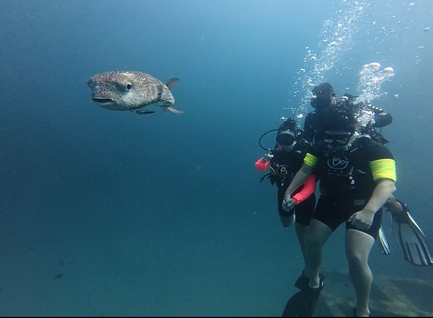 PADI Discover Scuba Diving by PKT diving