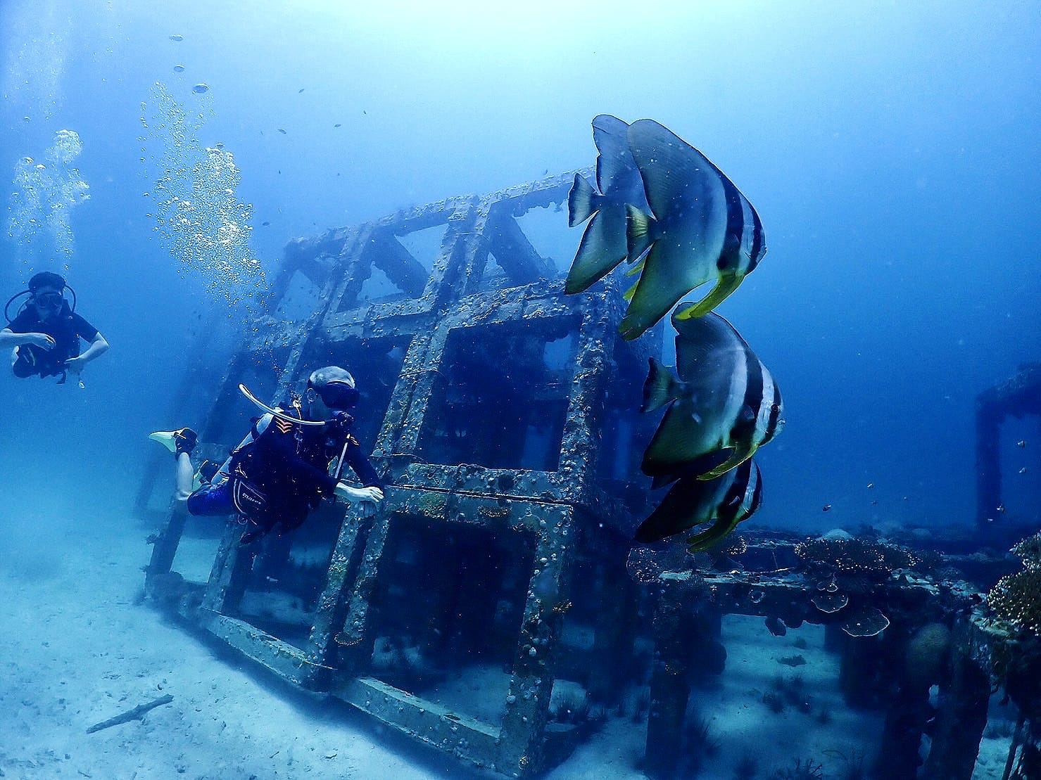 PADI Scuba Diving Island by Dive Tribe Phi Phi