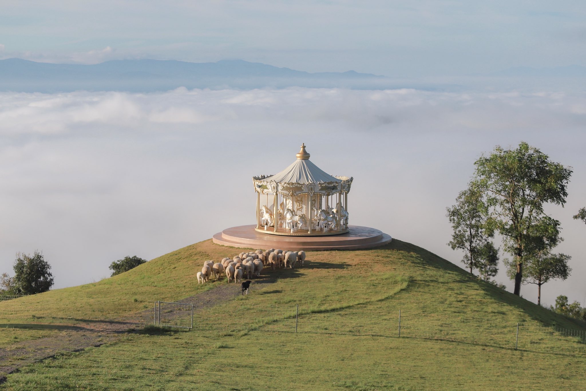 Full day tour Chiang Rai. Temple & sceneries + coffee.