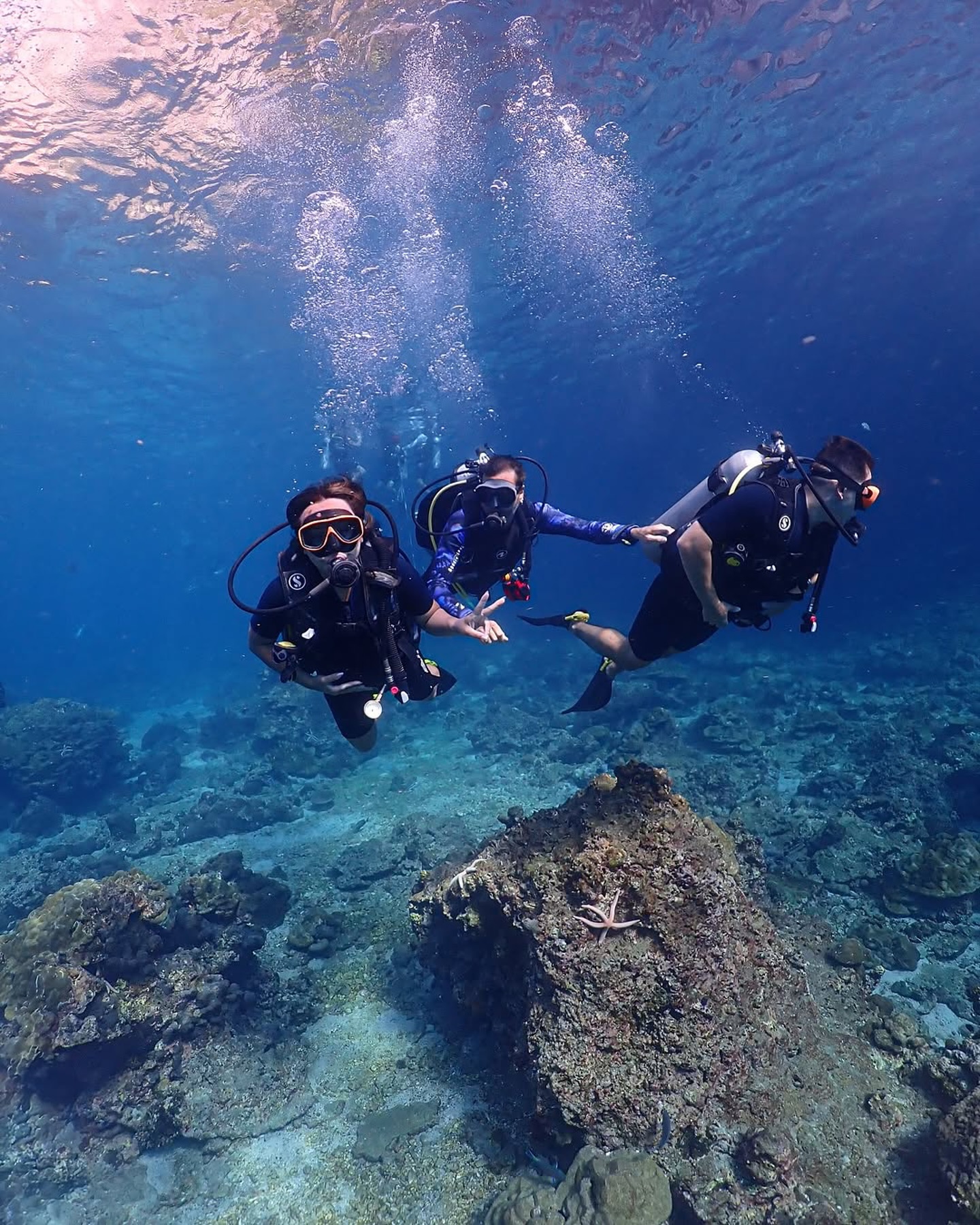 PADI dive courses by The Adventure Club Diving