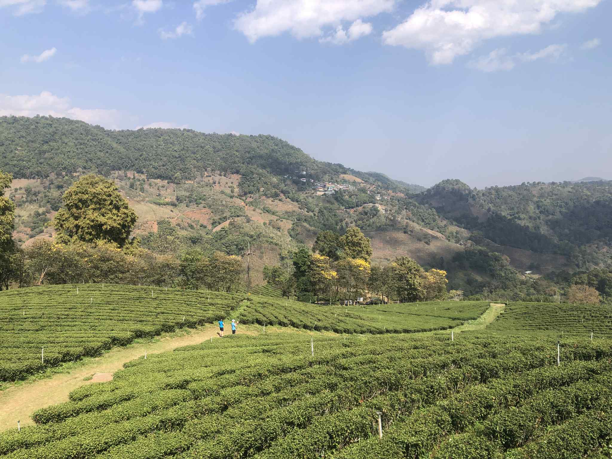 One day 2 mountains Chiang Rai.