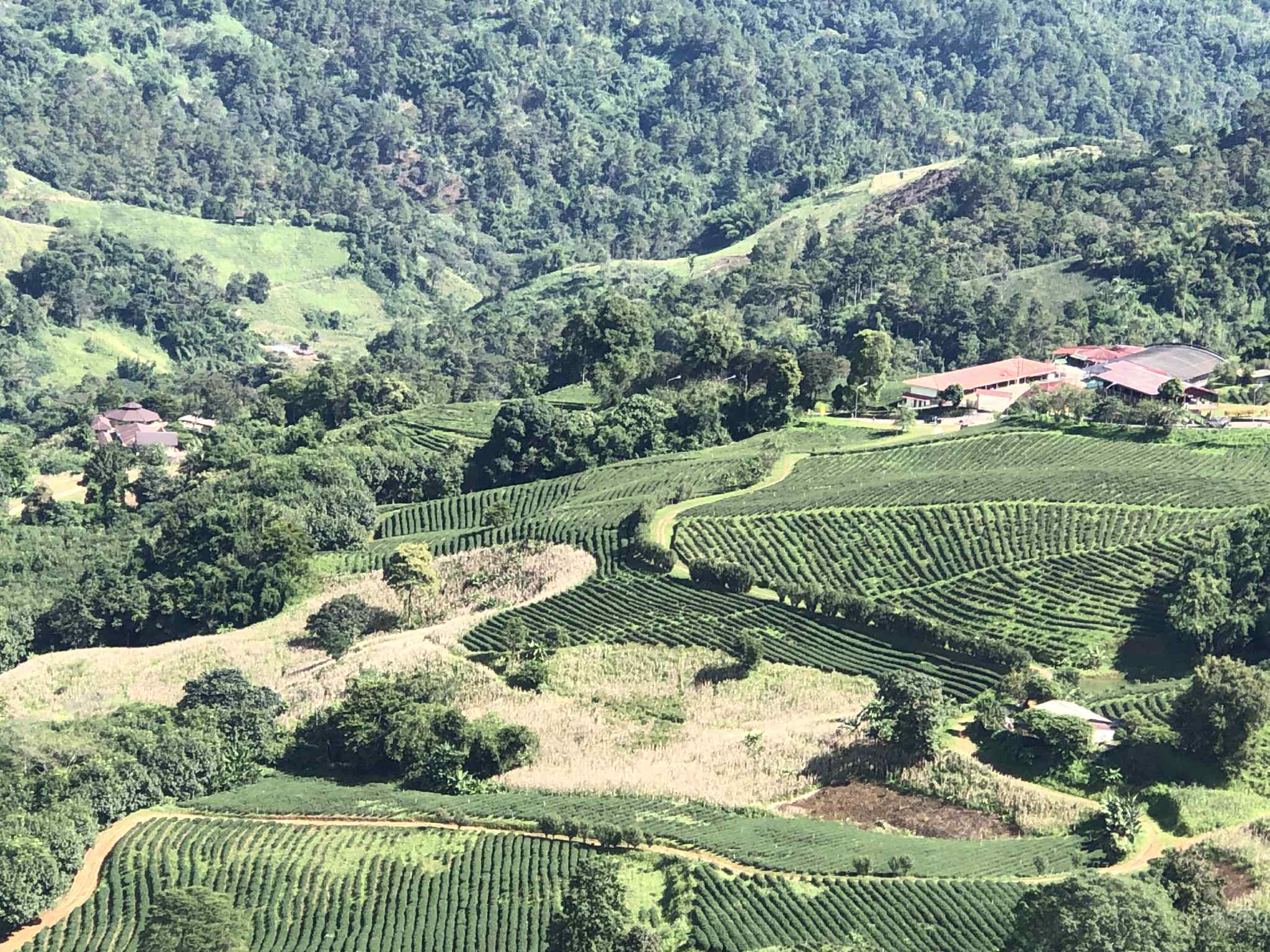 One day 2 mountains Chiang Rai.