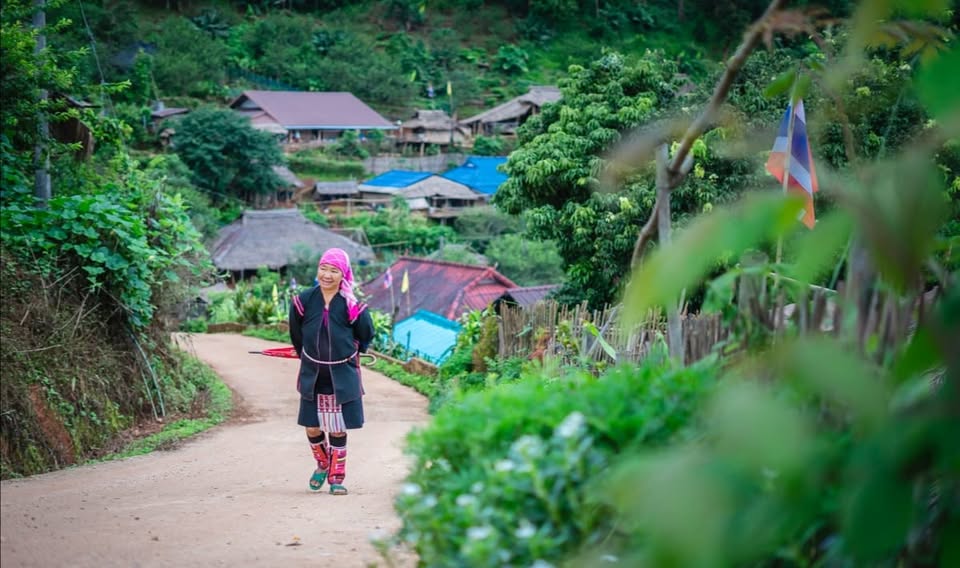One day 2 mountains Chiang Rai.
