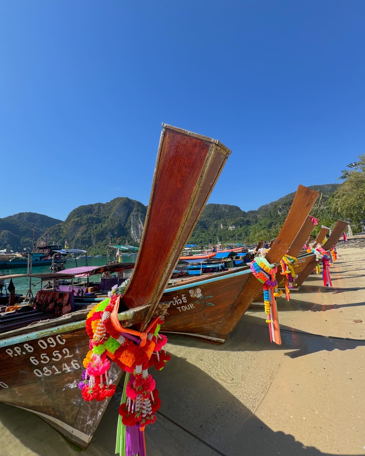 Private Longtail Boat Tours in phi phi island