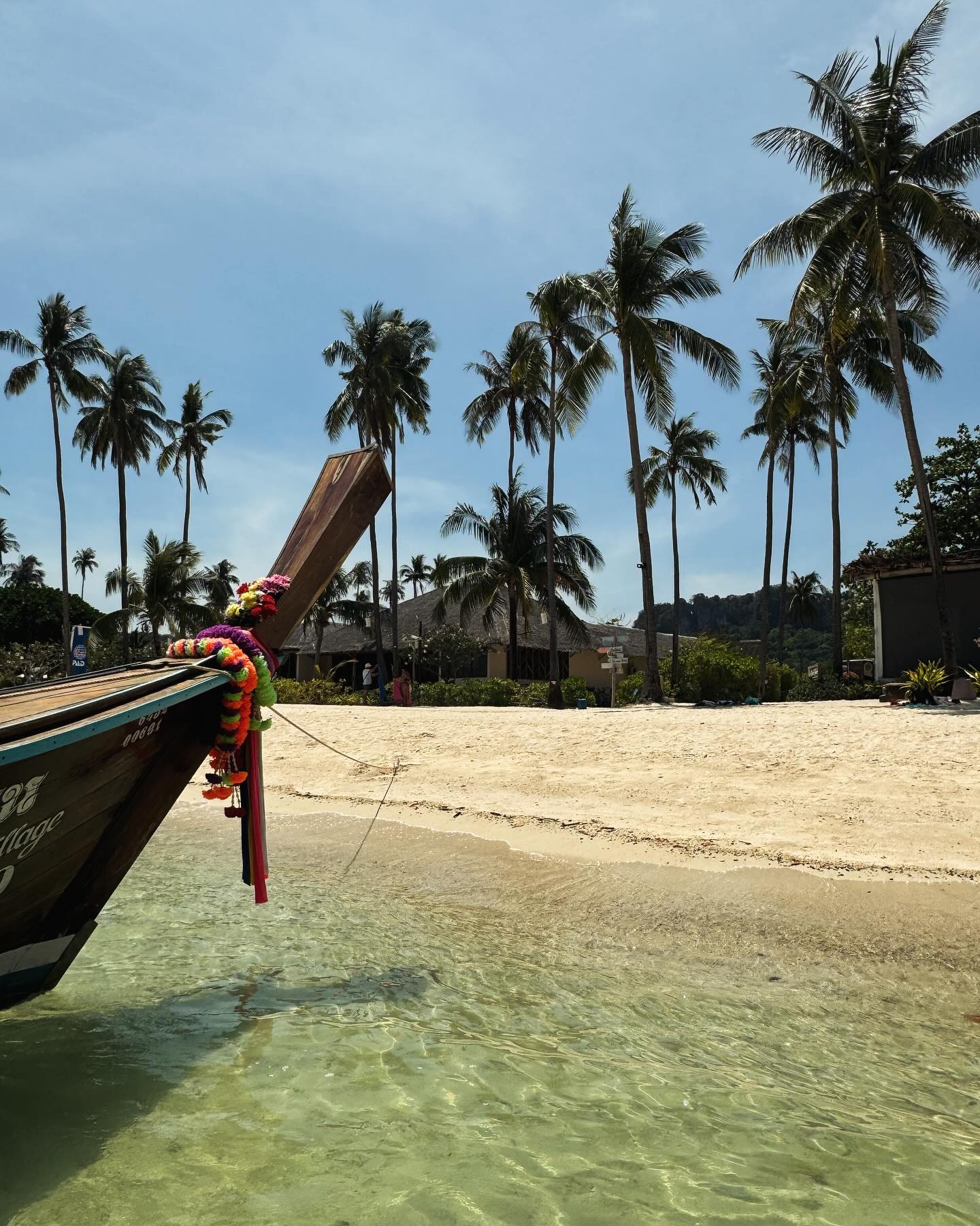 Private Longtail Boat Tours in phi phi island